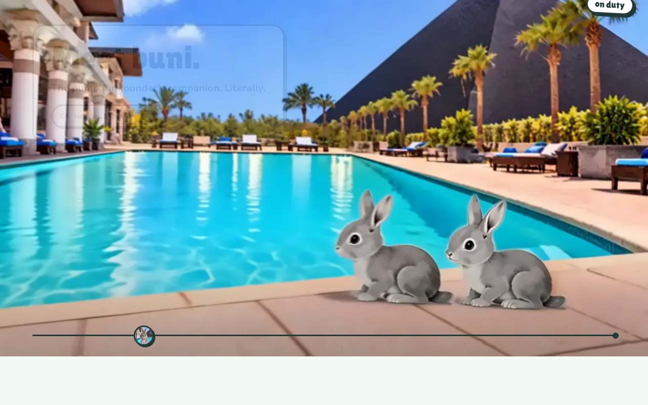 Screenshot of buni.fun as our browser saw it