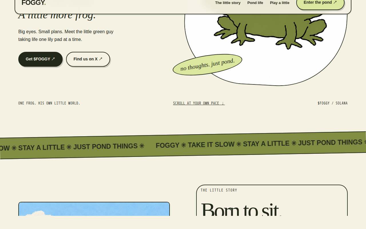 Screenshot of foggy.pro as our browser saw it