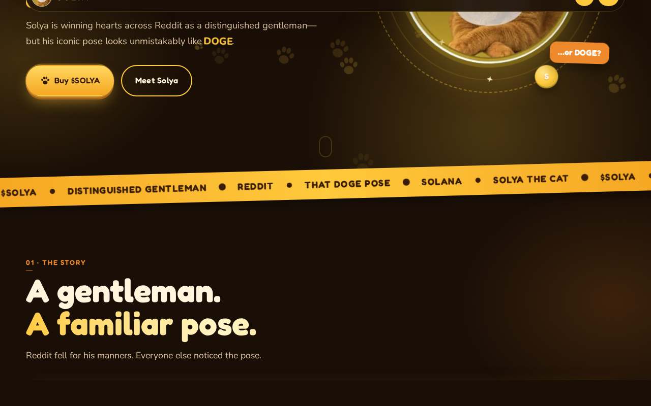 Screenshot of www.solyacoin.lol as our browser saw it
