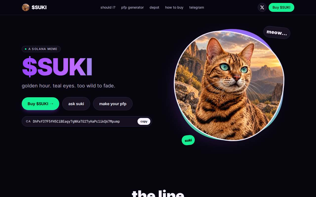 Screenshot of www.sukisol.fun as our browser saw it