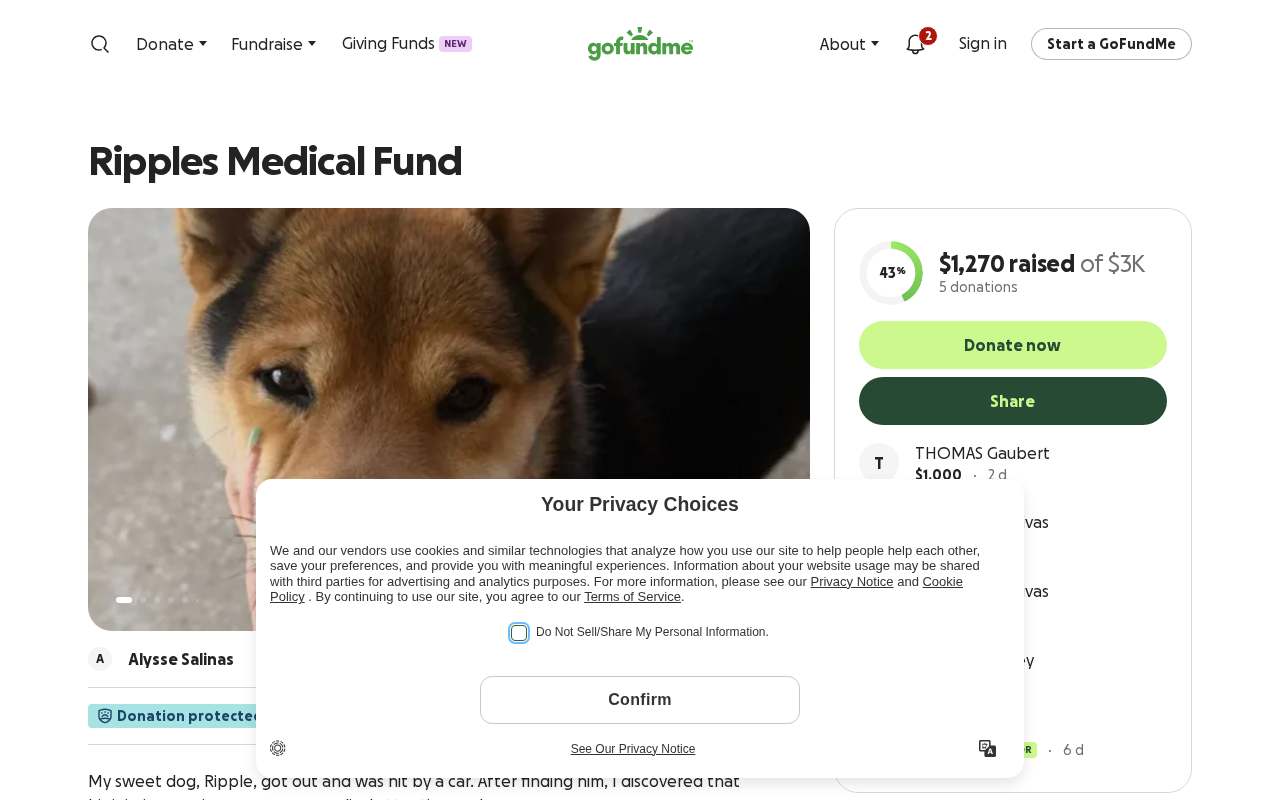 Screenshot of www.gofundme.com as our browser saw it