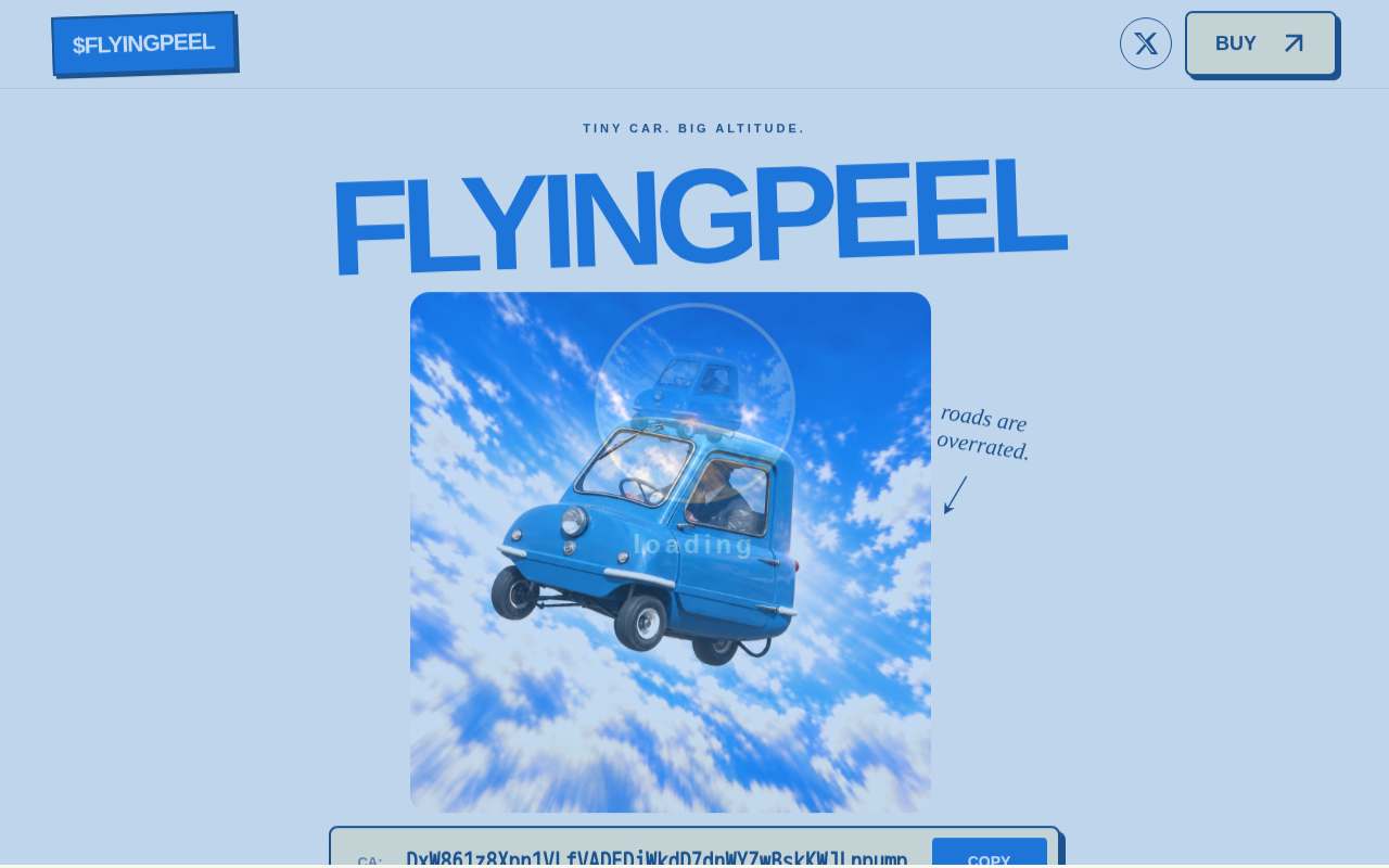Screenshot of flyingpeel.live as our browser saw it