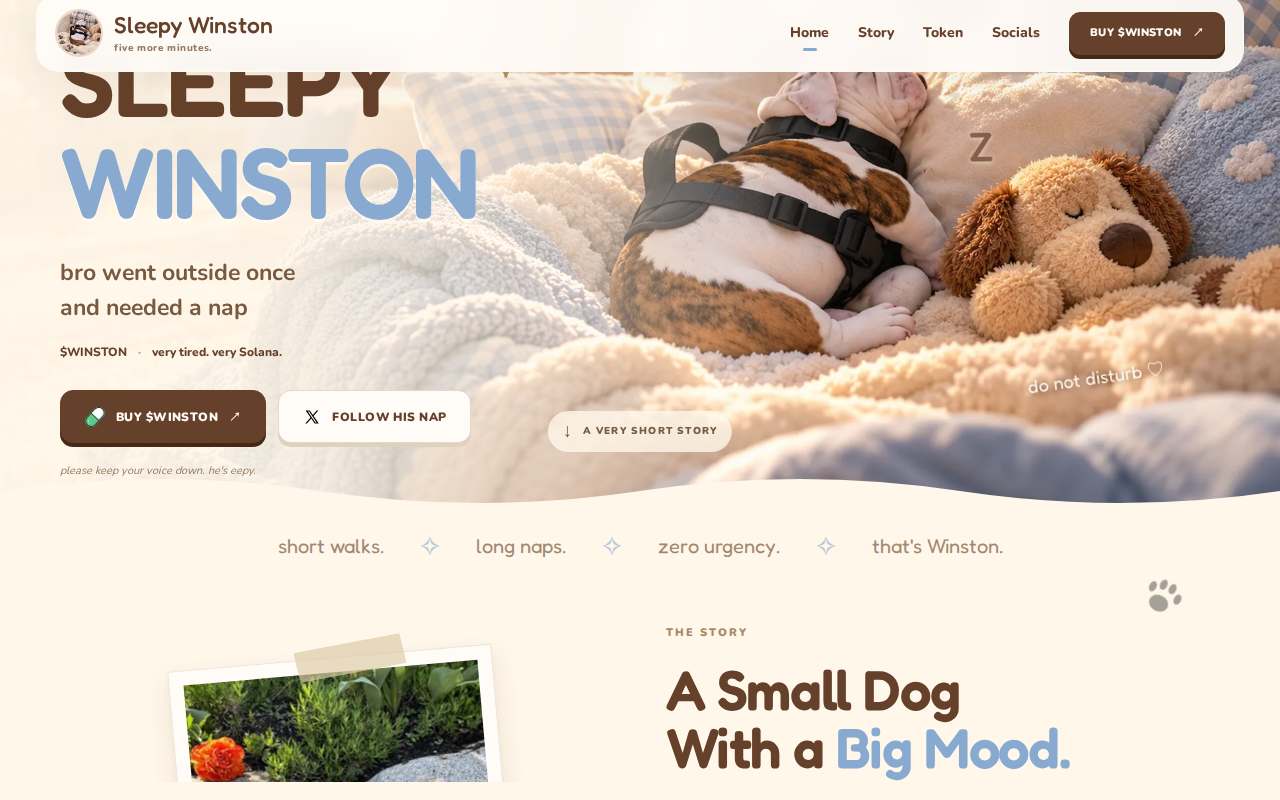 Screenshot of sleepywinston.space as our browser saw it