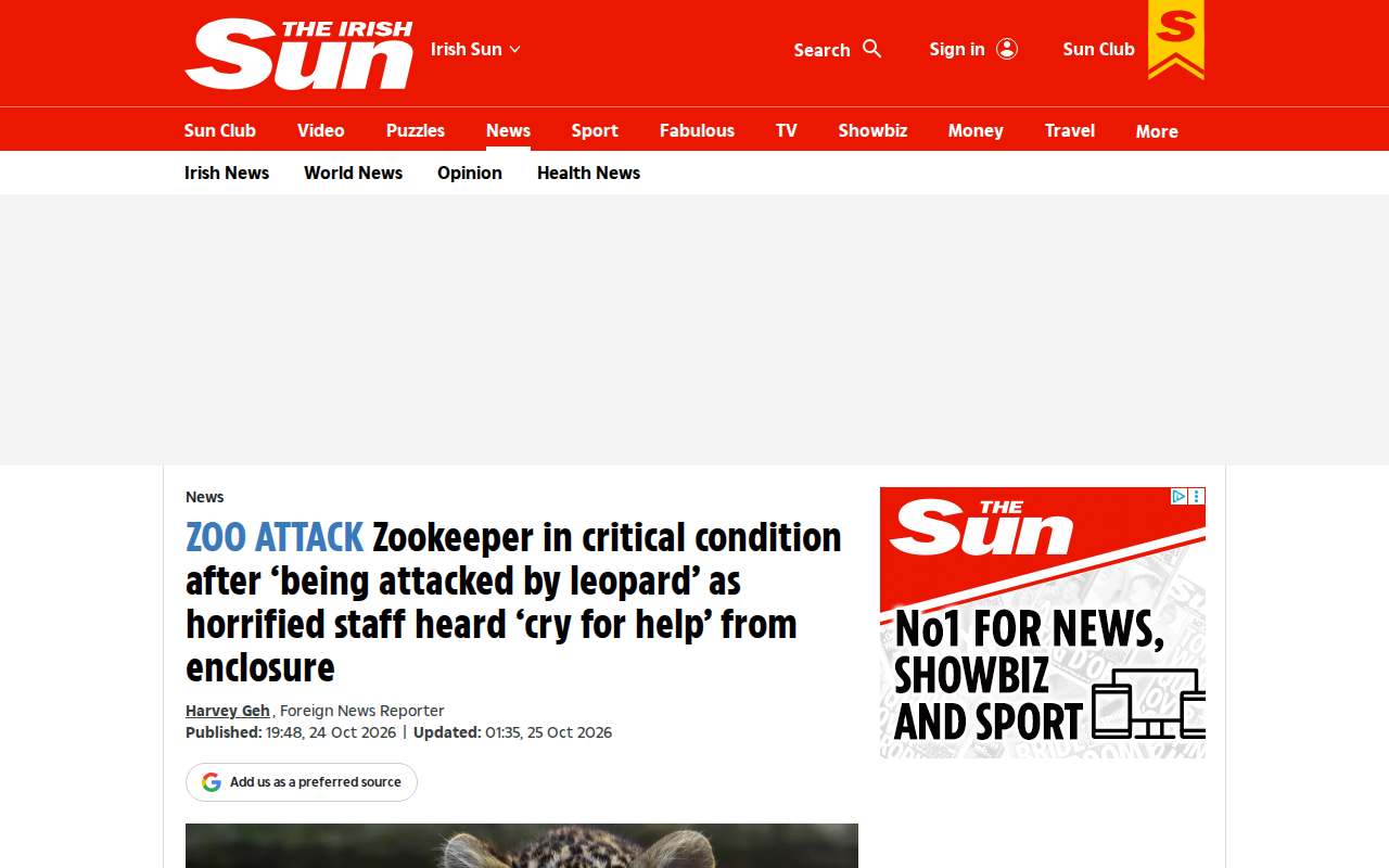 Screenshot of www.thesun.ie as our browser saw it