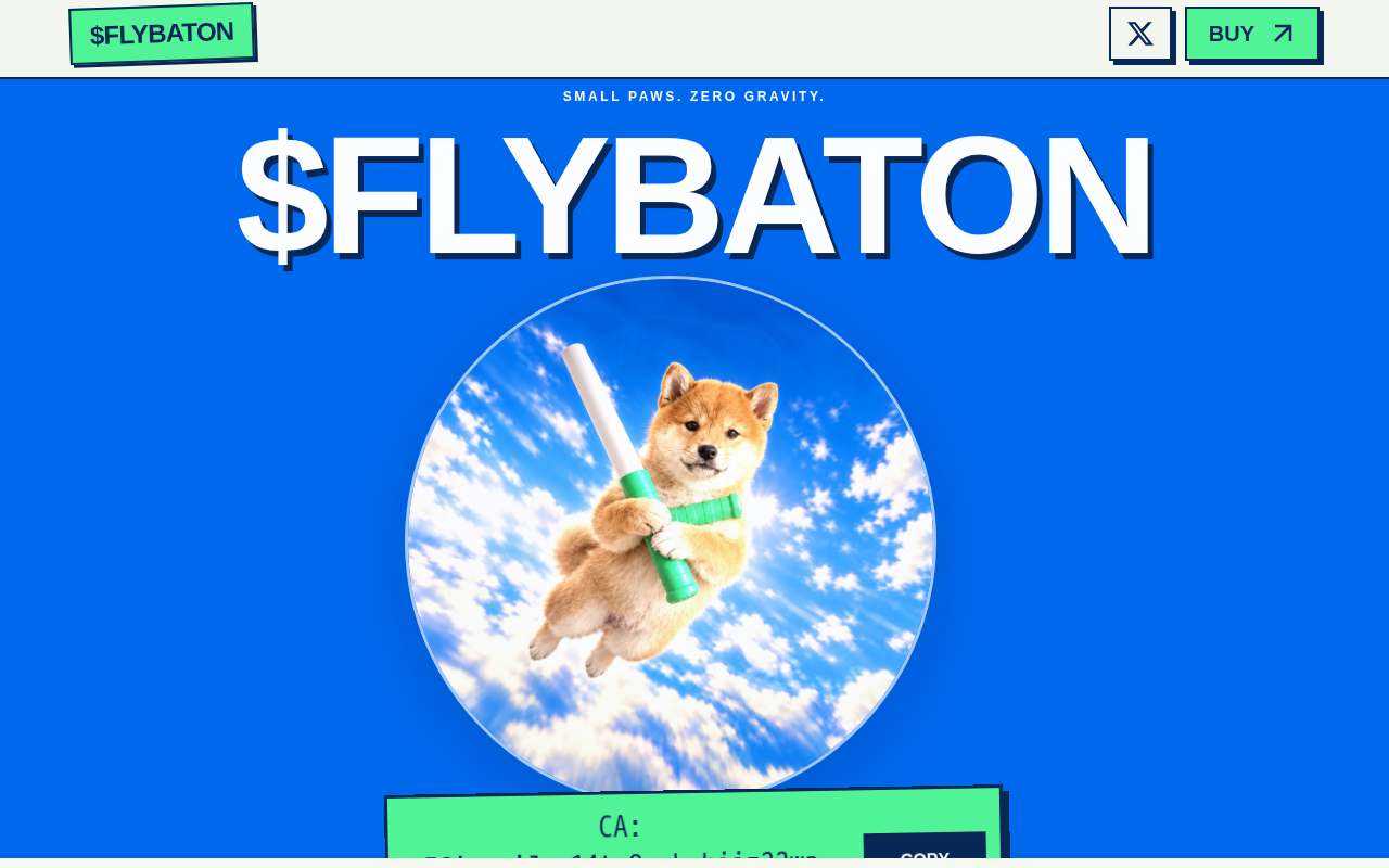 Screenshot of flyingbaton.site as our browser saw it