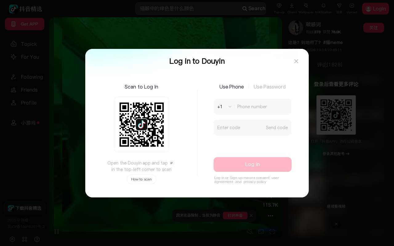 Screenshot of www.douyin.com as our browser saw it