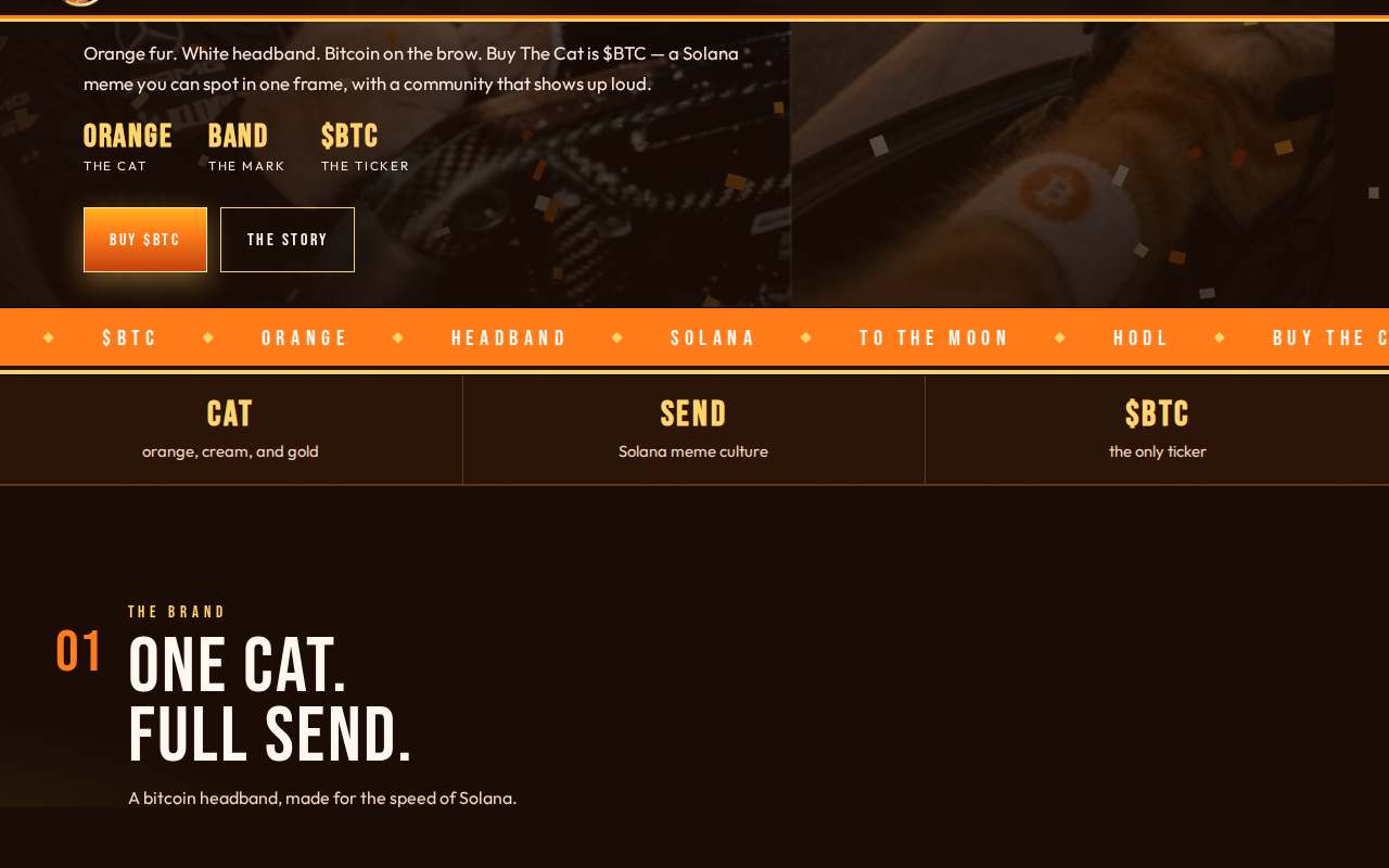 Screenshot of www.buythecat.lol as our browser saw it
