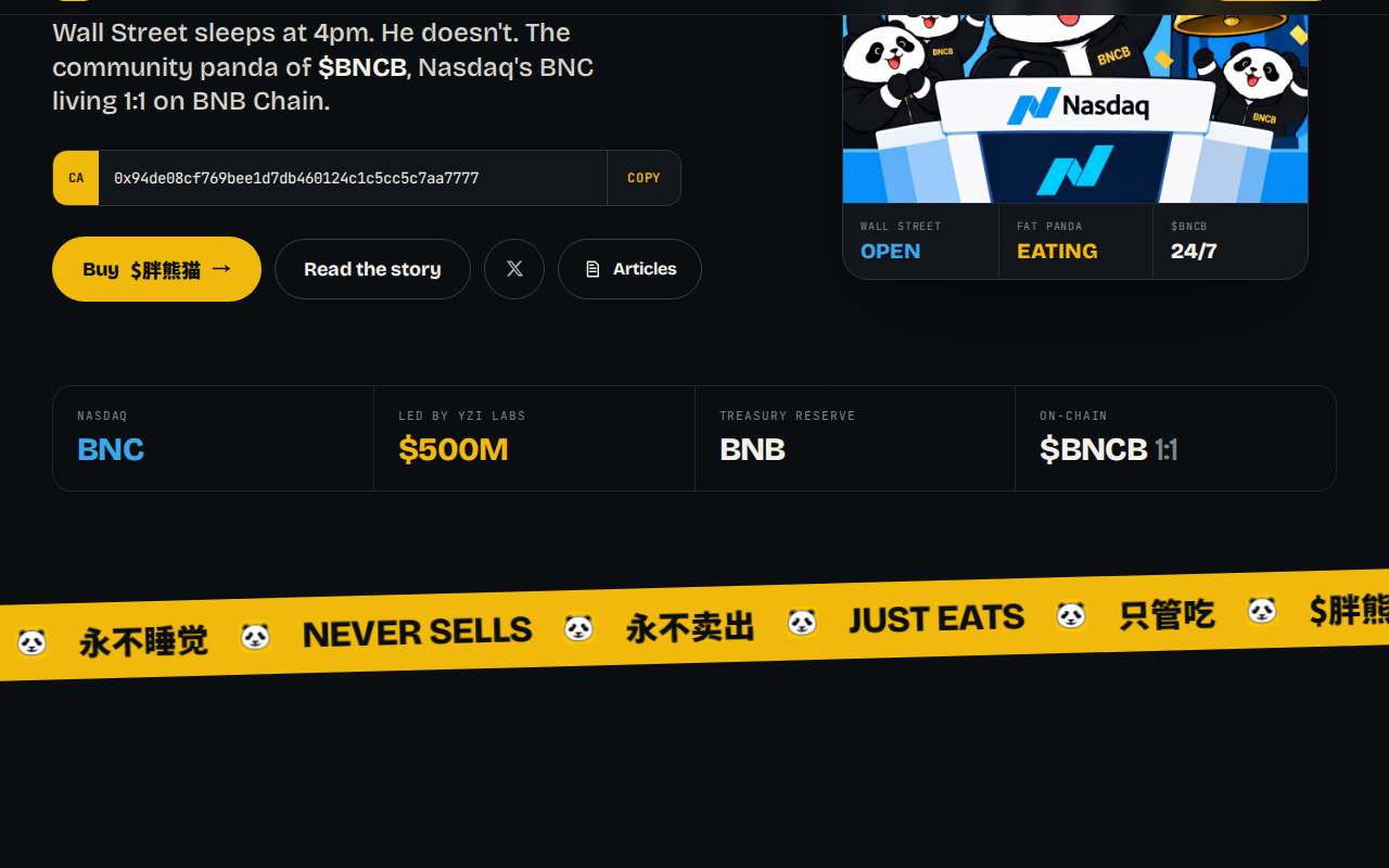 Screenshot of fatpandabnc.xyz as our browser saw it
