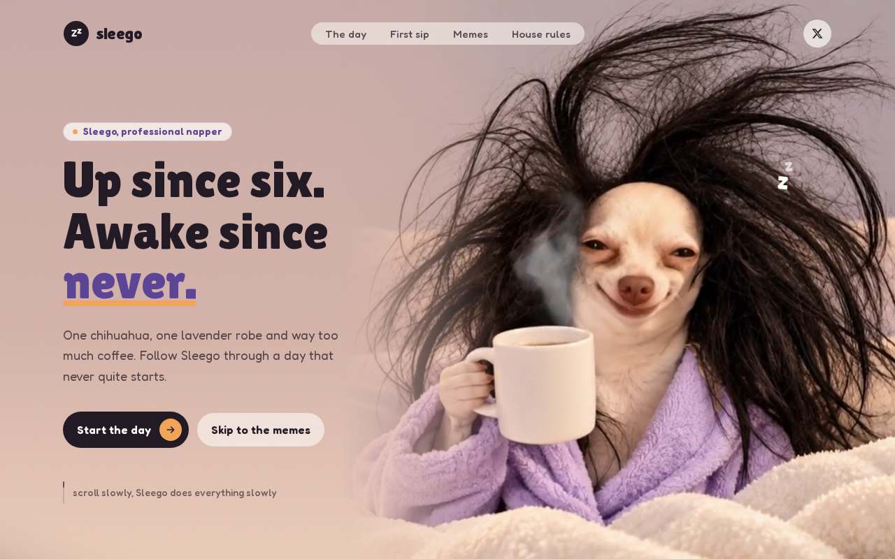 Screenshot of sleego.fun as our browser saw it