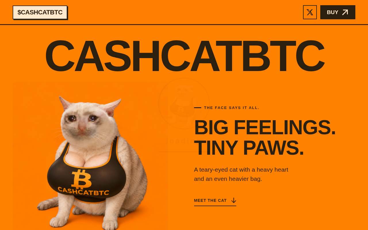 Screenshot of cashcatbtc.site as our browser saw it