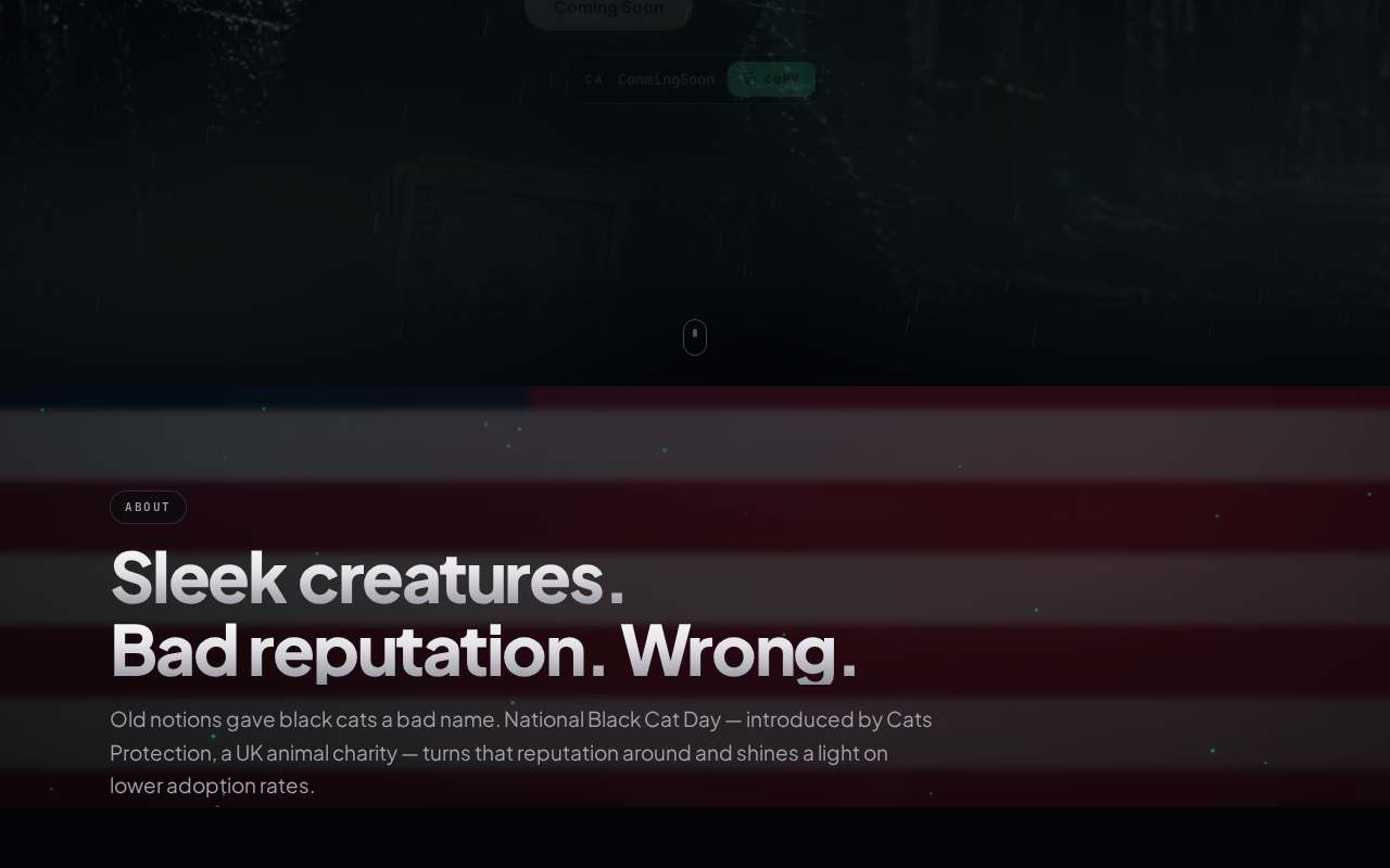 Screenshot of www.blackcatday.lol as our browser saw it