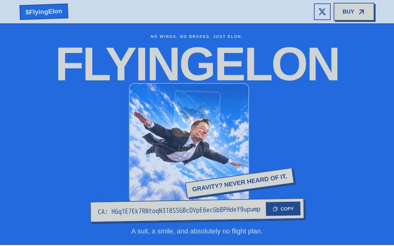 Screenshot of flyingelon.site as our browser saw it