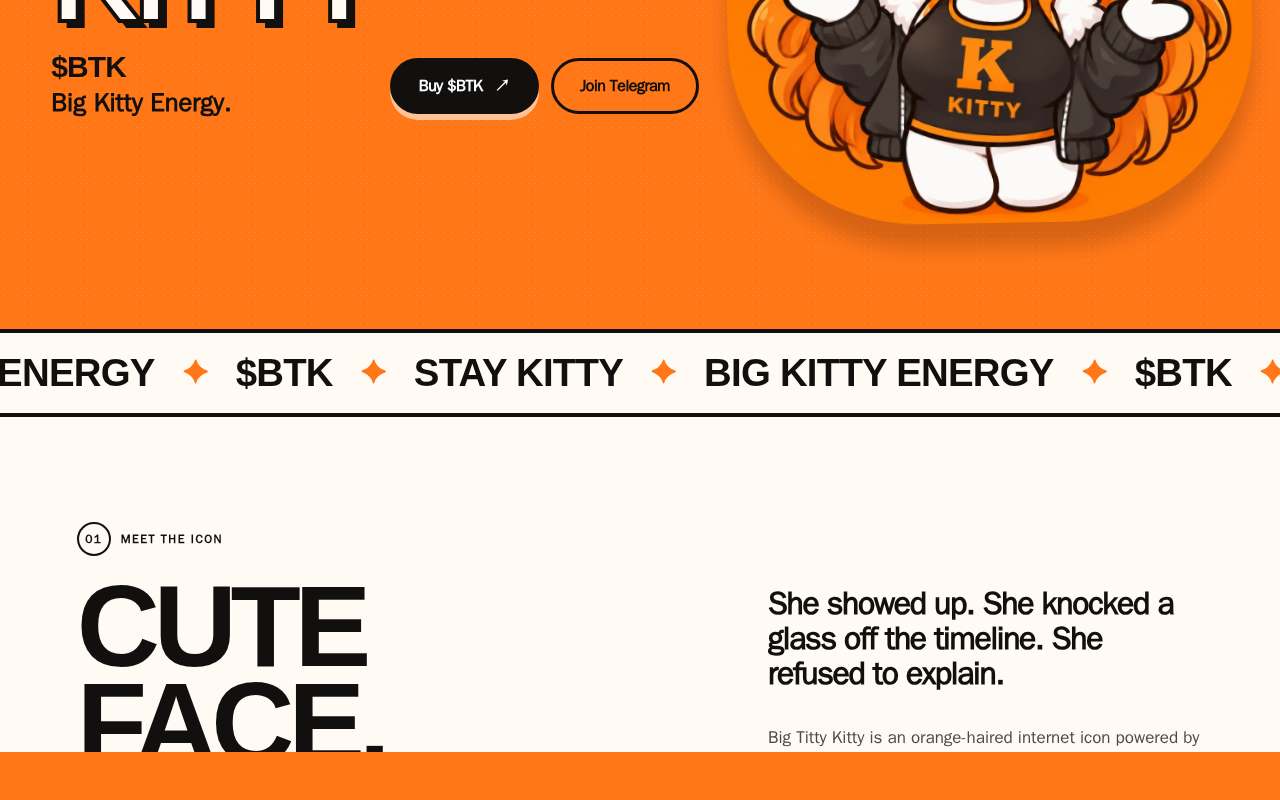 Screenshot of btksolana.site as our browser saw it