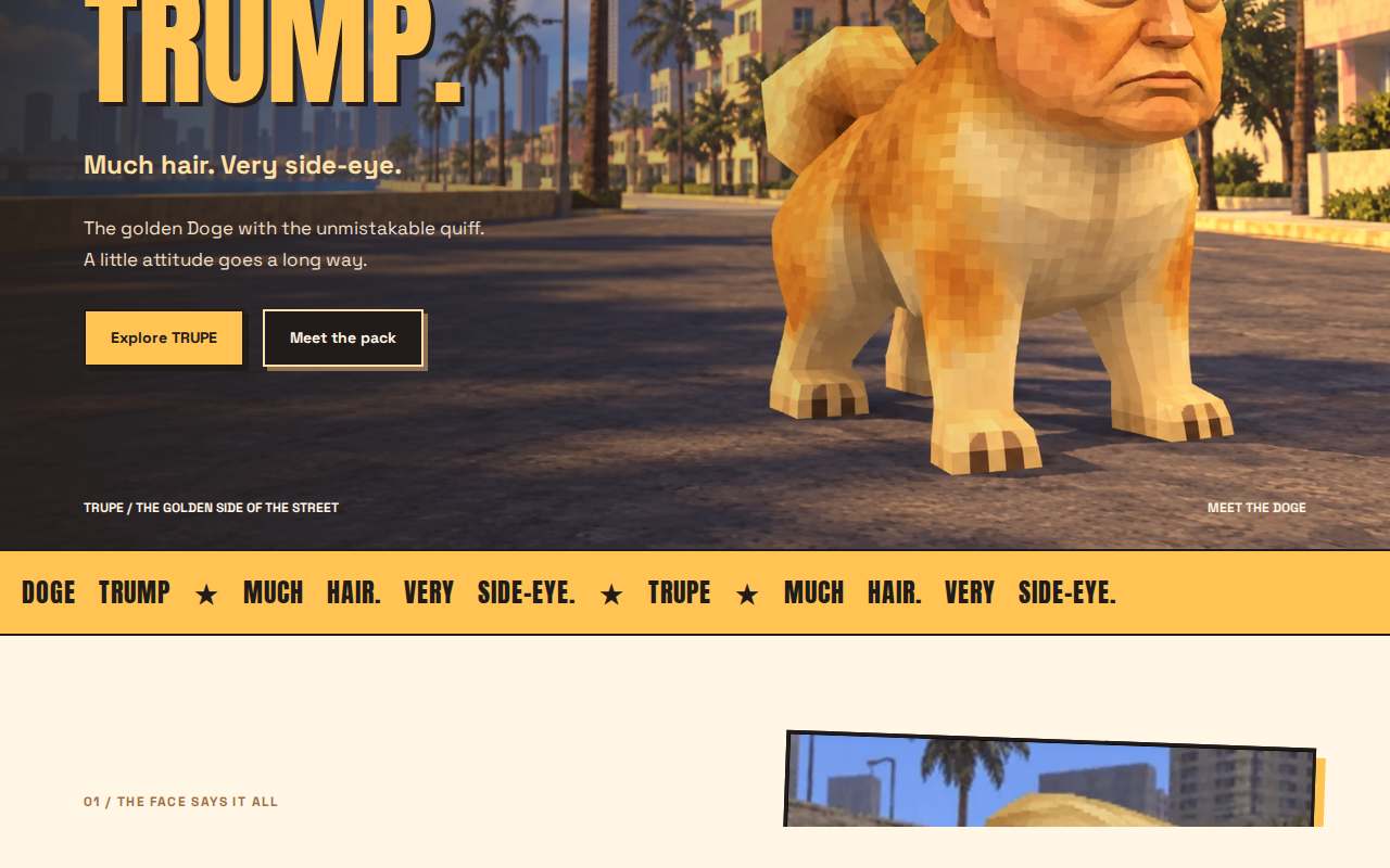 Screenshot of dogetrump.site as our browser saw it