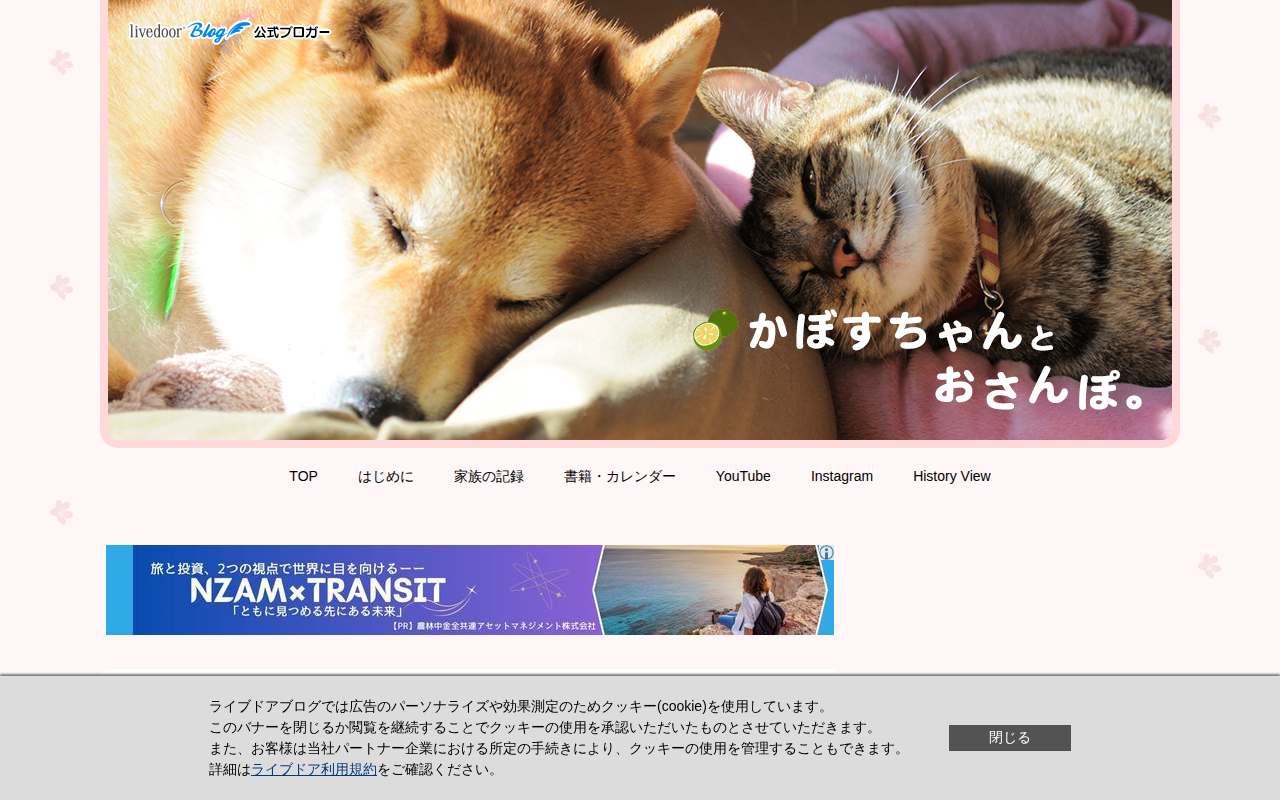 Screenshot of kabochan.blog.jp as our browser saw it